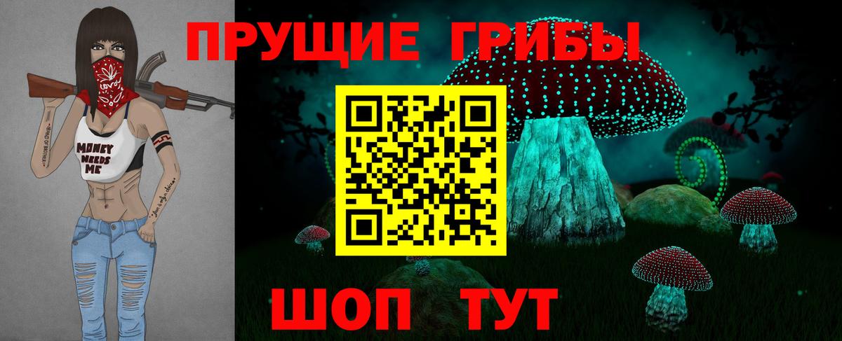 купить наркотики цена  Псилоцибиновые грибы Psilocybe  Вход с VPN  Сальск 