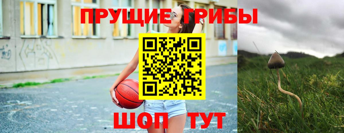 Галлюциногенные грибы мухоморы Сальск