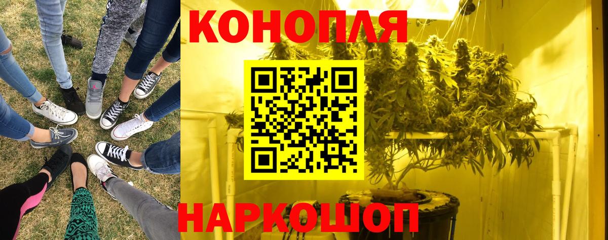 Сальск  Конопля сатива  Шишки марихуана конопля  Вход с VPN 